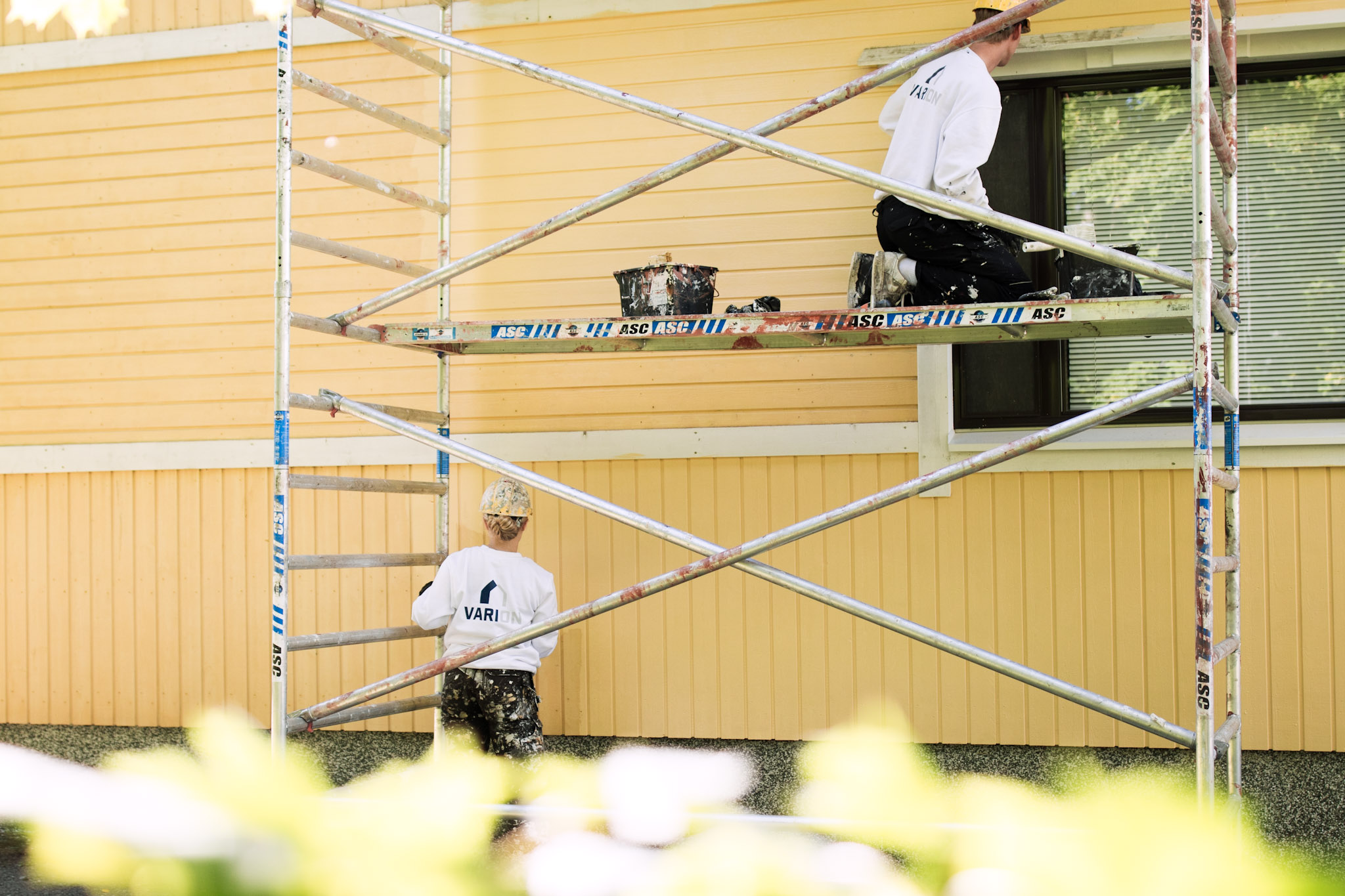 Ammattimaalarit maalaavat puutalon ulkoseinää nopeasti ja tehokkaasti. Talon maalaus suoritetaan telineillä.